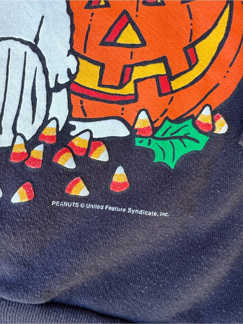 Vtg 90s Peanuts Snoopy & Woodstock Pumpkins Halloween Sweatshirt Sz L Holiday - Picture 3 of 9